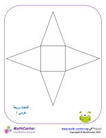 شبكة هرمية مربعة الشكل ١