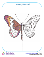 ألوان متناسقة في الفراشة V١