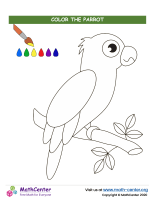 Color The Parrot