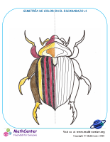 Simetría De Color En El Escarabajo V1