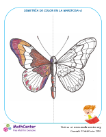 Simetría De Color En La Mariposa V1