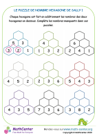 L'hexagone numérique de sally - puzzle 1