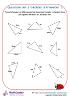 Questions sur le théorème de pythagore 3