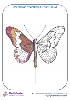 Couleur de la symétrie dans papillon v1