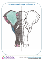 Couleur de la symétrie dans éléphant v1