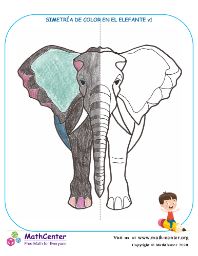 Simetría De Color En El Elefante V1