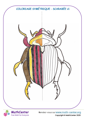 Couleur de la symétrie chez scarabée v1
