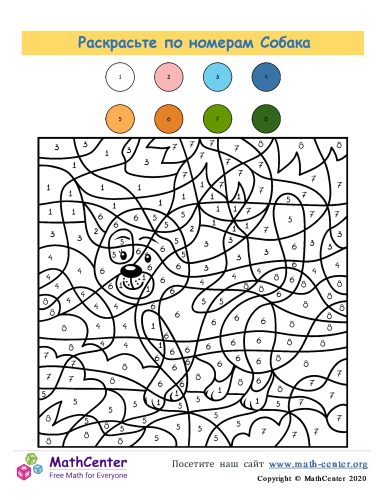 Цветной / Картина по номерам «Йоркширский терьер с ромашками»