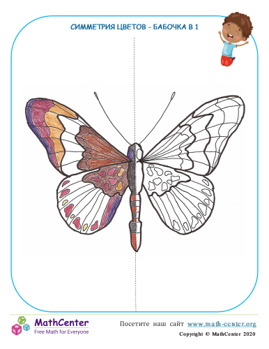 Симметрия Цветов - Бабочка V 1